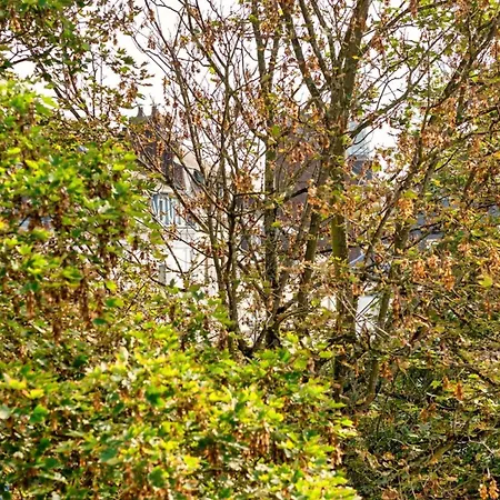 Le Golden Black A ! Daire *